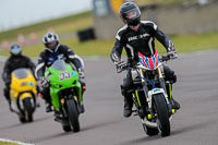 PJ-Motorsport-2019;anglesey-no-limits-trackday;anglesey-photographs;anglesey-trackday-photographs;enduro-digital-images;event-digital-images;eventdigitalimages;no-limits-trackdays;peter-wileman-photography;racing-digital-images;trac-mon;trackday-digital-images;trackday-photos;ty-croes